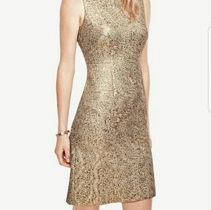 Shimmer Jacquard Flare Dress